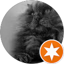 elena wainberg profile picture